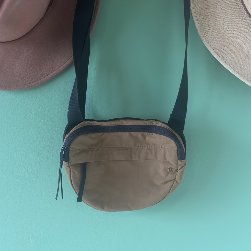 Everlane Brown Crossbody Bag with Classic Design